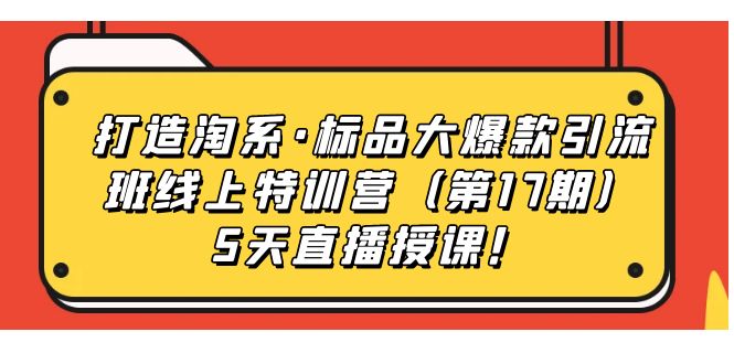 打造淘系·标品大爆款引流班线上特训营（第17期）5天直播授课！-专享资源网