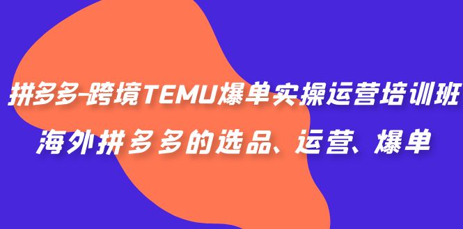 拼多多-跨境TEMU爆单实操运营培训班，海外拼多多的选品、运营、爆单-专享资源网