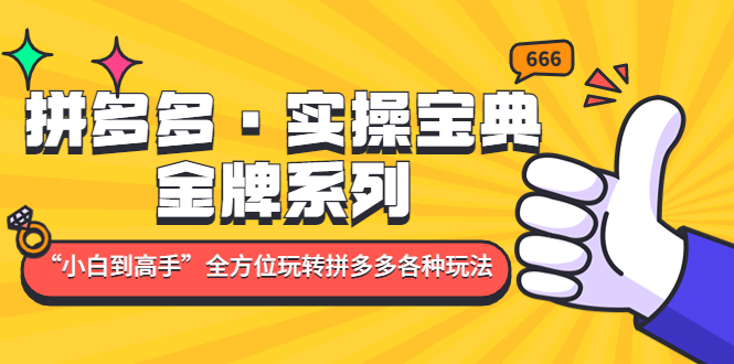 拼多多·实操宝典：金牌系列“小白到高手”带你全方位玩转拼多多各种玩法-专享资源网