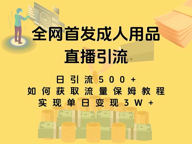 最新全网独创首发，成人用品直播引流获客暴力玩法，单日变现3w保姆级教程-专享资源网