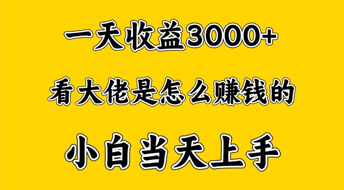 一天赚3000多，大佬是这样赚到钱的，小白当天上手，穷人翻身项目-专享资源网