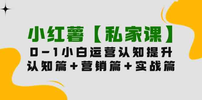 （9910期）小红薯【私家课】0-1玩赚小红书内容营销，认知篇+营销篇+实战篇（11节课）-专享资源网