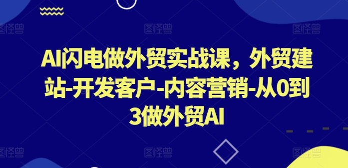 AI闪电做外贸实战课，​外贸建站-开发客户-内容营销-从0到3做外贸AI-专享资源网