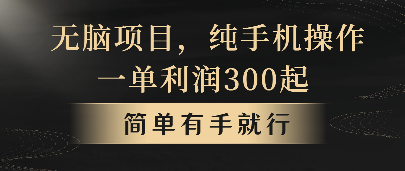 （10699期）无脑项目，一单几百块，轻松月入5w+，看完就能直接操作-专享资源网