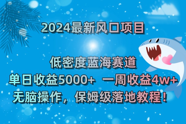 2024最新风口项目 低密度蓝海赛道，日收益5000+周收益4w+ 无脑操作-专享资源网