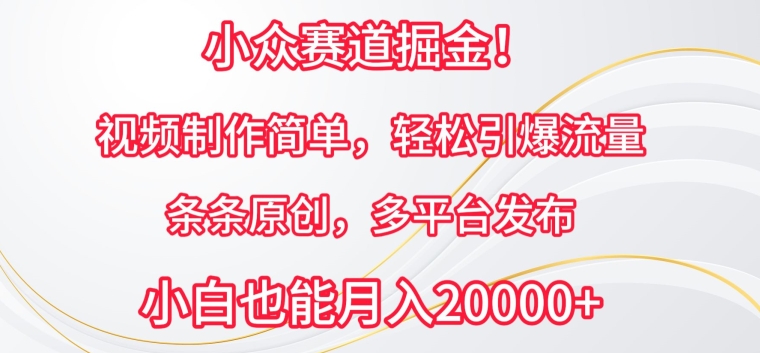 小众赛道掘金，视频制作简单，轻松引爆流量，条条原创，多平台发布-专享资源网