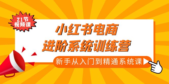 小红书电商进阶系统训练营：新手从入门到精通系统课（21节视频课）-专享资源网