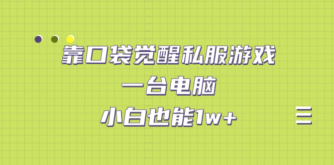 靠口袋觉醒私服游戏，一台电脑，小白也能1w+（教程+工具+资料）-专享资源网