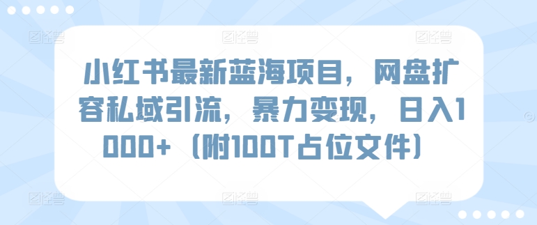 小红书最新蓝海项目，网盘扩容私域引流，暴力变现，日入1000+（附100T占位文件）-专享资源网