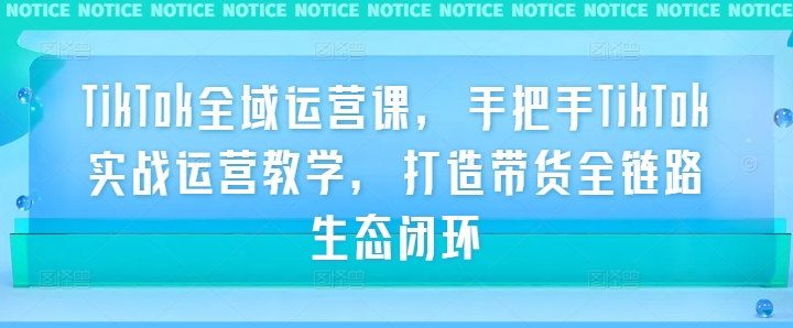 TikTok全域运营课，手把手TikTok实战运营教学，打造带货全链路生态闭环-专享资源网