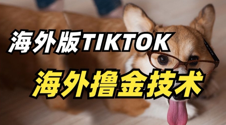 抖音海外版tiktok撸金技术，这个风口行业，赚钱真的不难-专享资源网