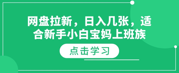 网盘拉新，日入几张，适合新手小白宝妈上班族-专享资源网