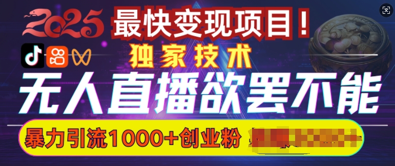 欲罢不能的无人直播引流，超暴力日引流1000+高质量精准创业粉-专享资源网